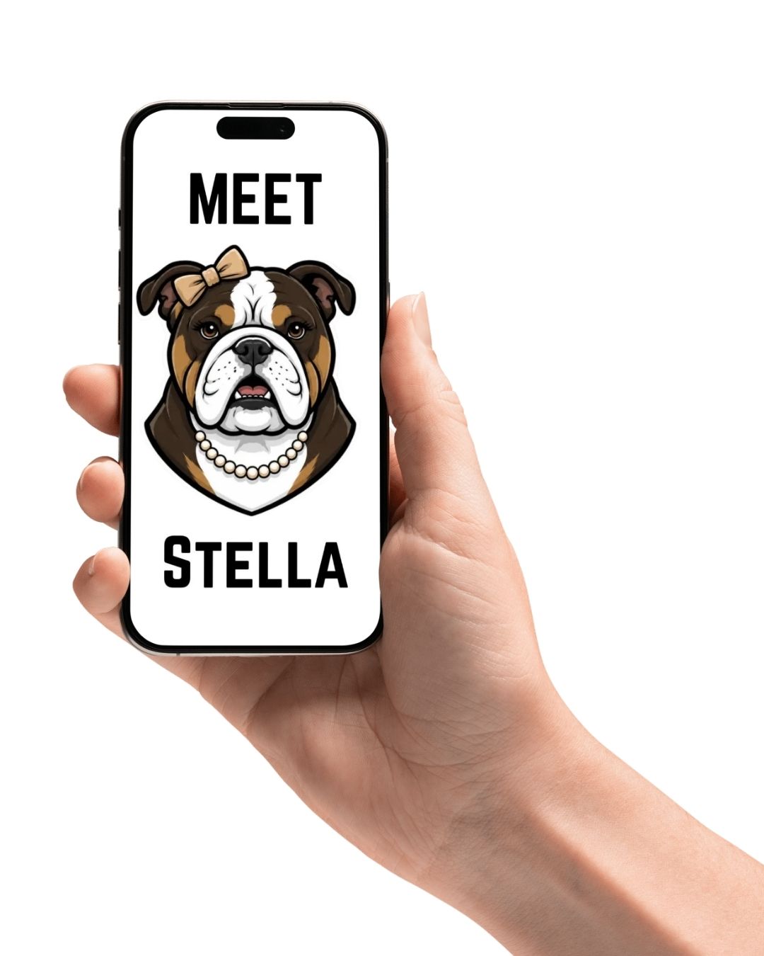 A hand holding a phone showing Meet Stella